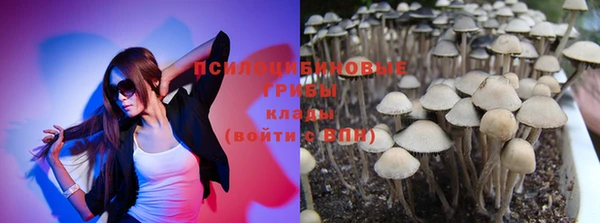 2c-b Алзамай