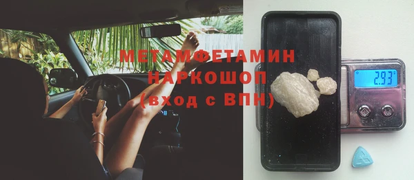 сатива Абинск