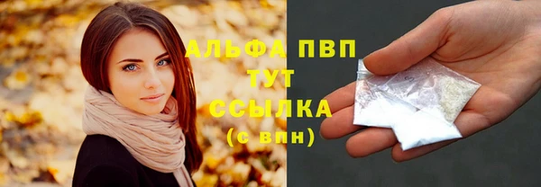 сатива Абинск