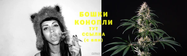 гашик Ладушкин