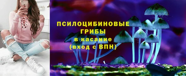 стафф Алексеевка