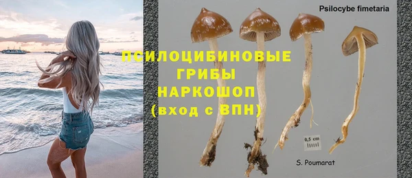 спайс Алексин