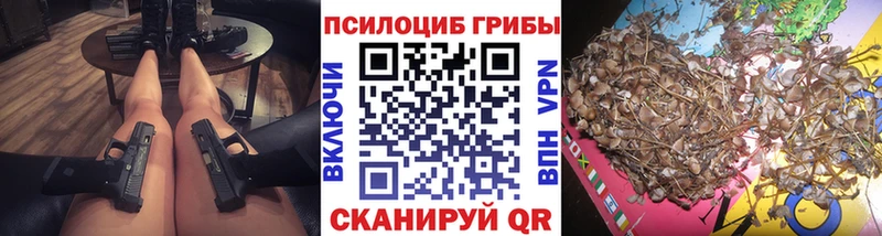 Галлюциногенные грибы Magic Shrooms  гидра вход  Домодедово 